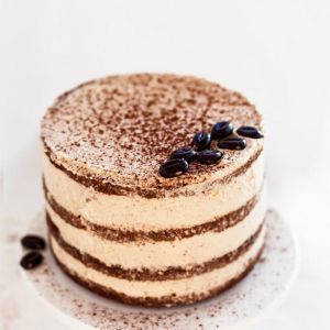  Tiramisu Cake 
