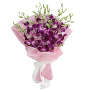 Sparkle Purple